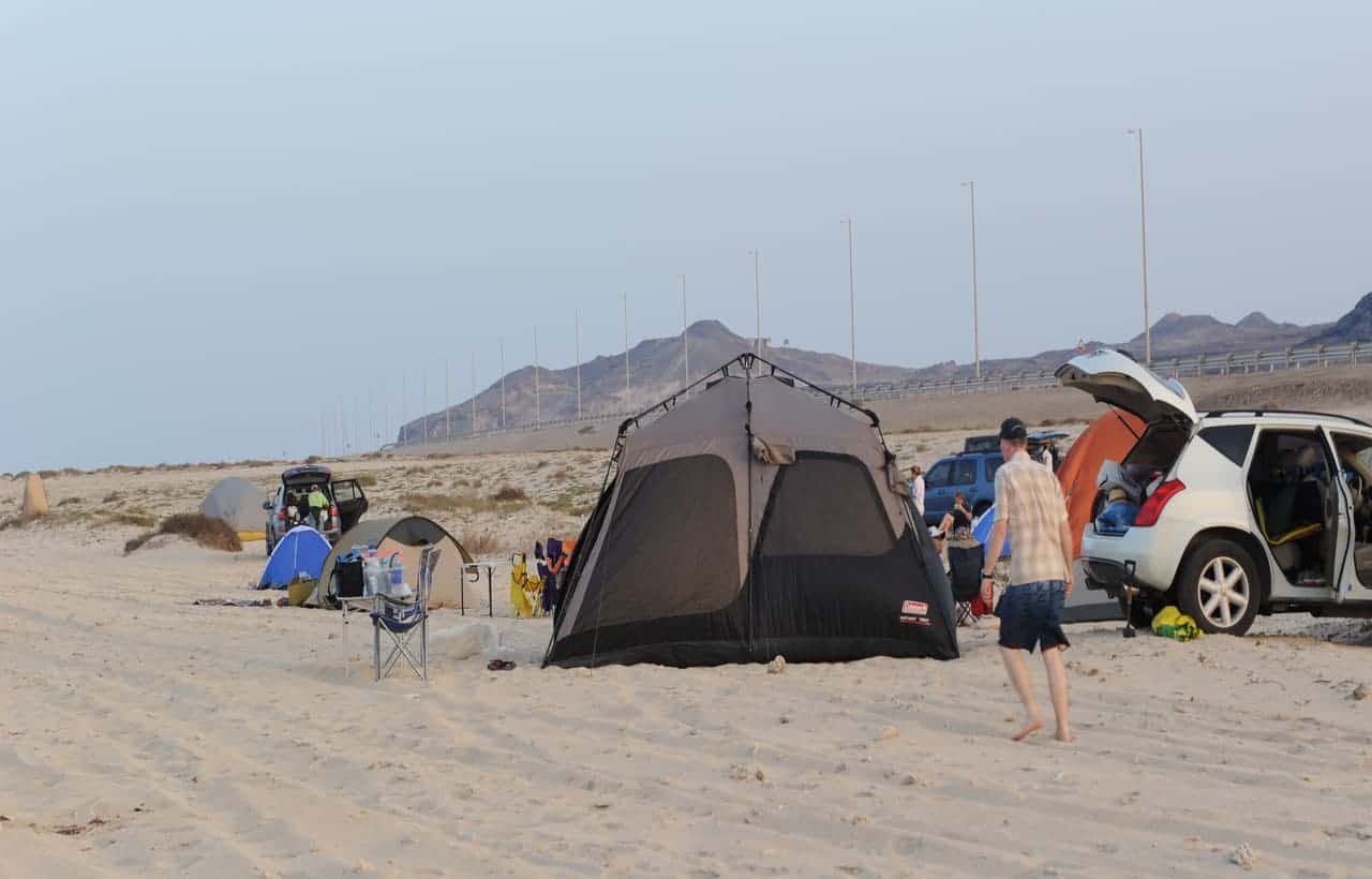 4 31 - السياحية في جزيرة دلما.. استكشاف رحلة فريدة من نوعها