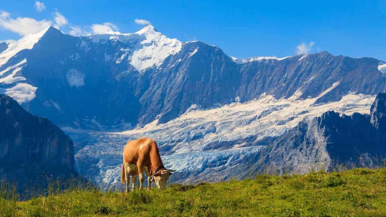 سويسرا سياحة.. رحلة إلى جنة الأرض - Sky Life Holidays - سكاي لايف للعطلات أشهر الوجهات السياحية في سويسرا