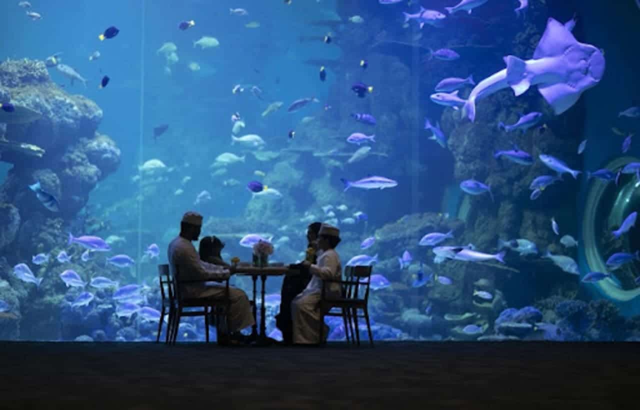 السياحة في مسقط.. رحلة بين المعالم التاريخية والأسواق النابضة بالحياة - Sky Life Holidays - سكاي لايف للعطلات أكواريوم عمان