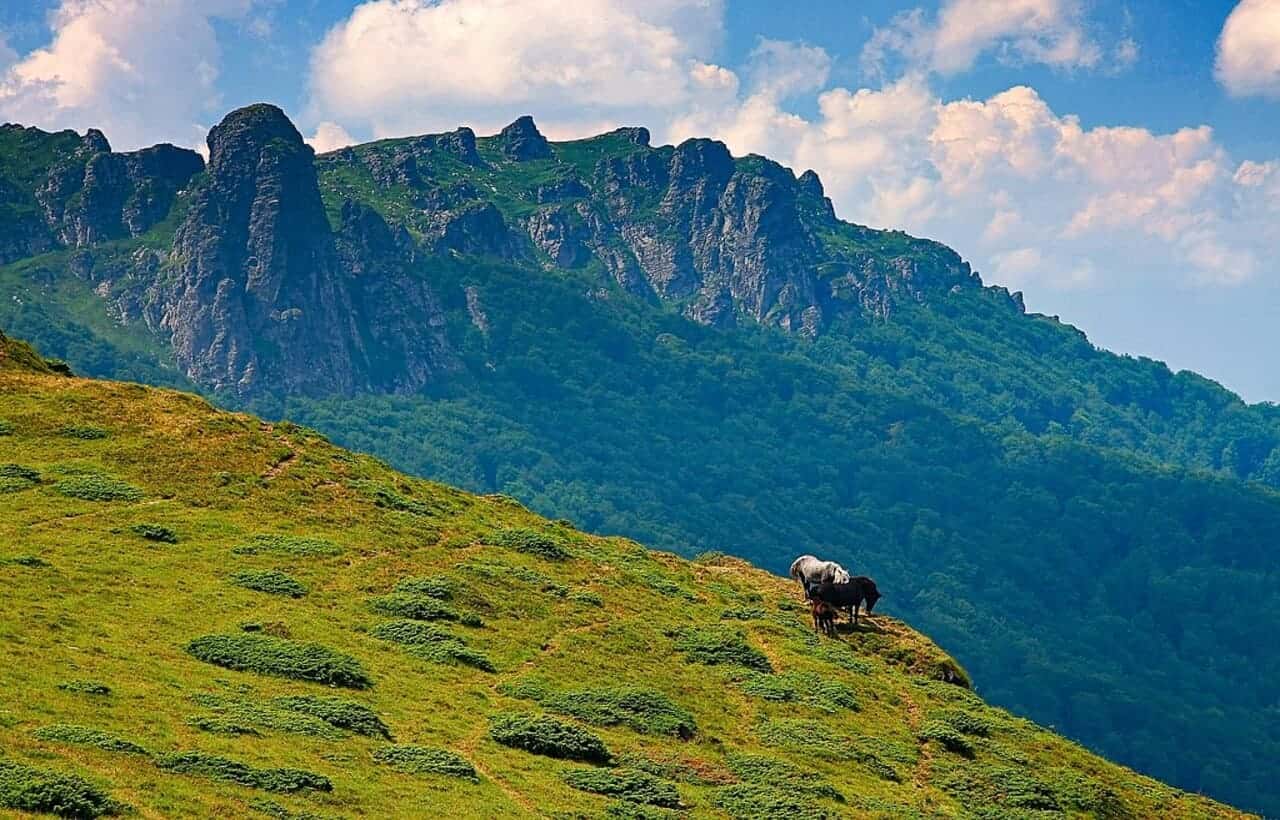 السياحة في صربيا.. اكتشف المناظر الطبيعية الخلابة - Sky Life Holidays - سكاي لايف للعطلات جبل زلاتيبور