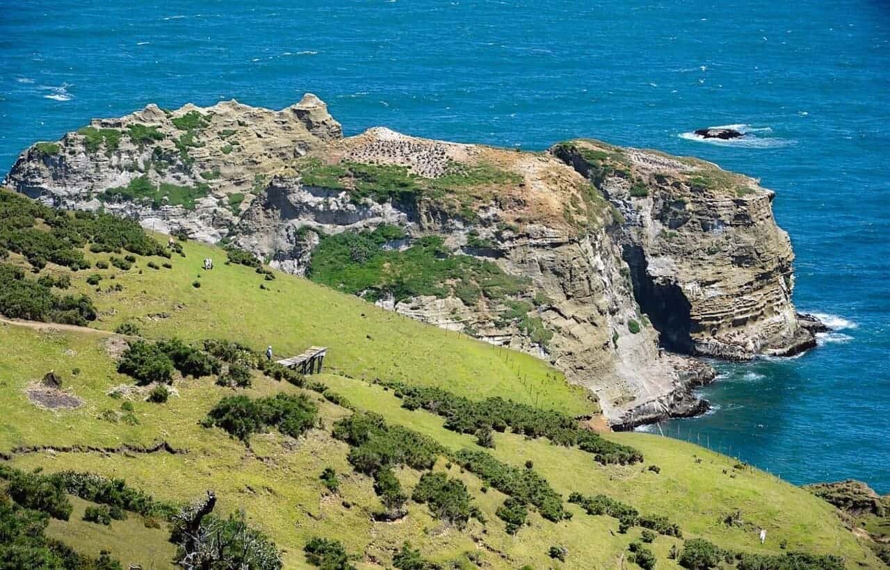 السياحة في تشيلي.. كنوز طبيعية وثقافية في انتظارك - Sky Life Holidays - سكاي لايف للعطلات جزيرة شيلوي