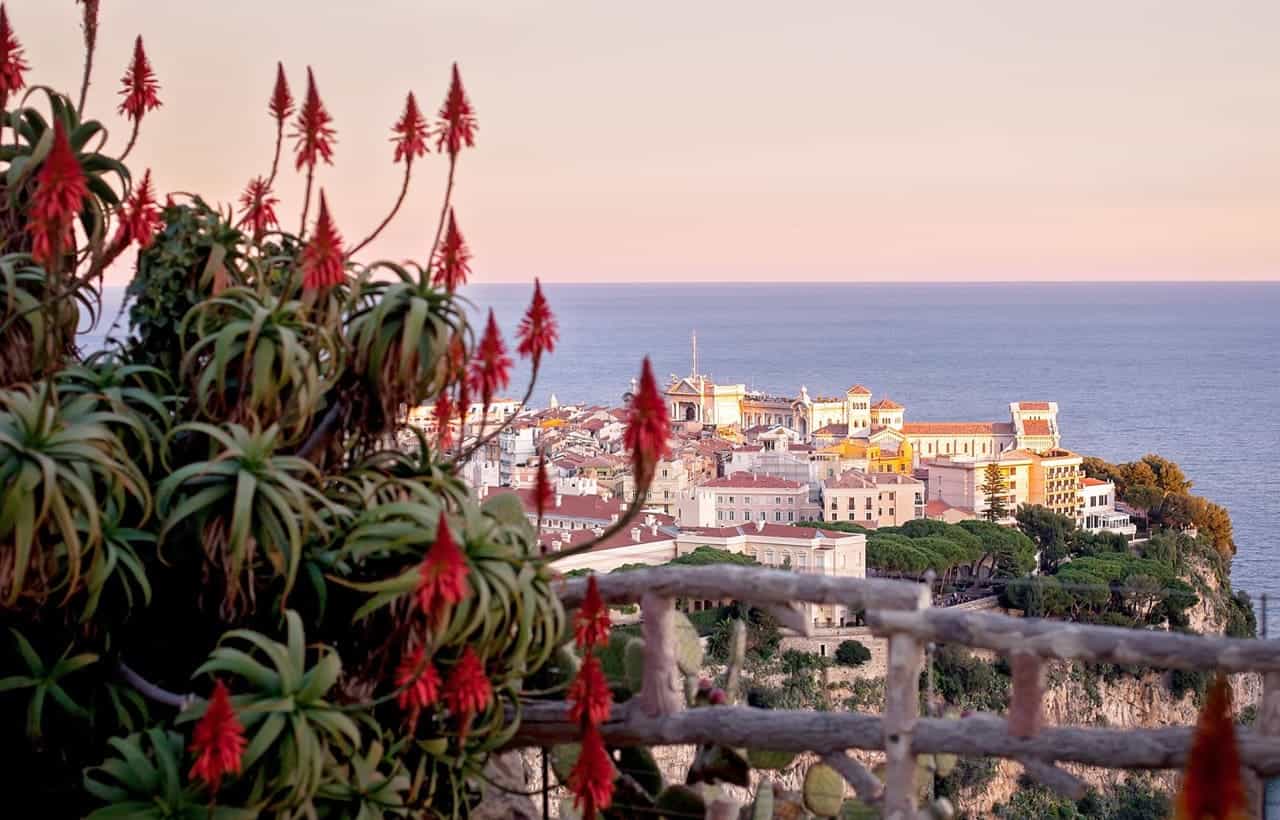 السياحة في موناكو.. رحلة استكشافية لا تنسى - Sky Life Holidays - سكاي لايف للعطلات استكشف الطبيعة الخلابة مع حدائق موناكو