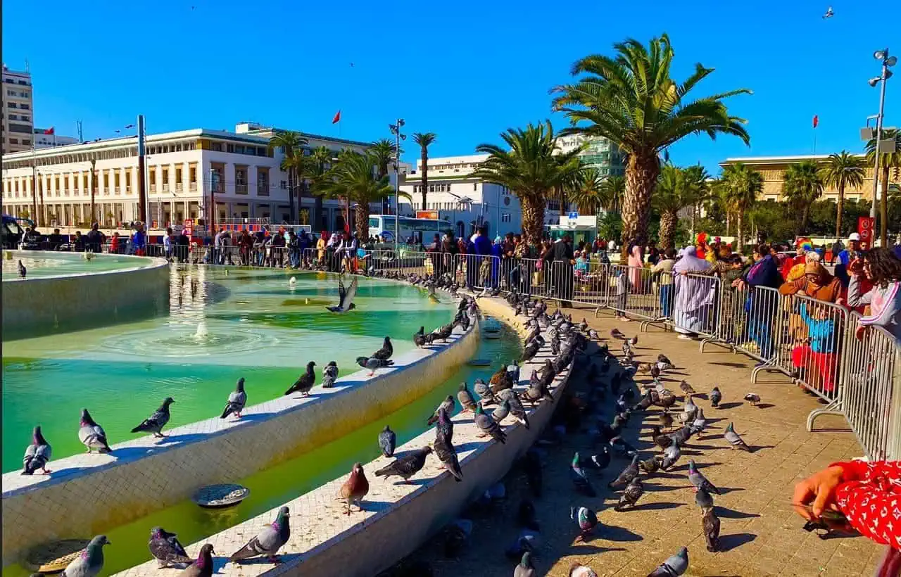 دليل السياحة في كازابلانكا - Sky Life Holidays - سكاي لايف للعطلات السياحة في كازابلانكا للأطفال