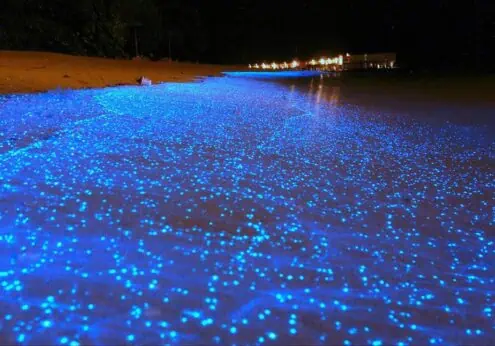 Maldives - Sky Life Holidays - سكاي لايف للعطلات tumblr ndc6an9UtA1svkr0ko1 1280 - Maldives